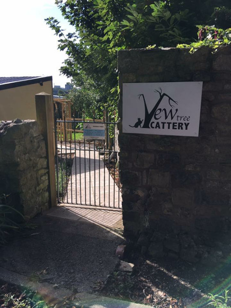 Cattery Entrance